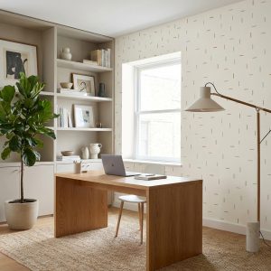 Papel de Parede Tracinhos office